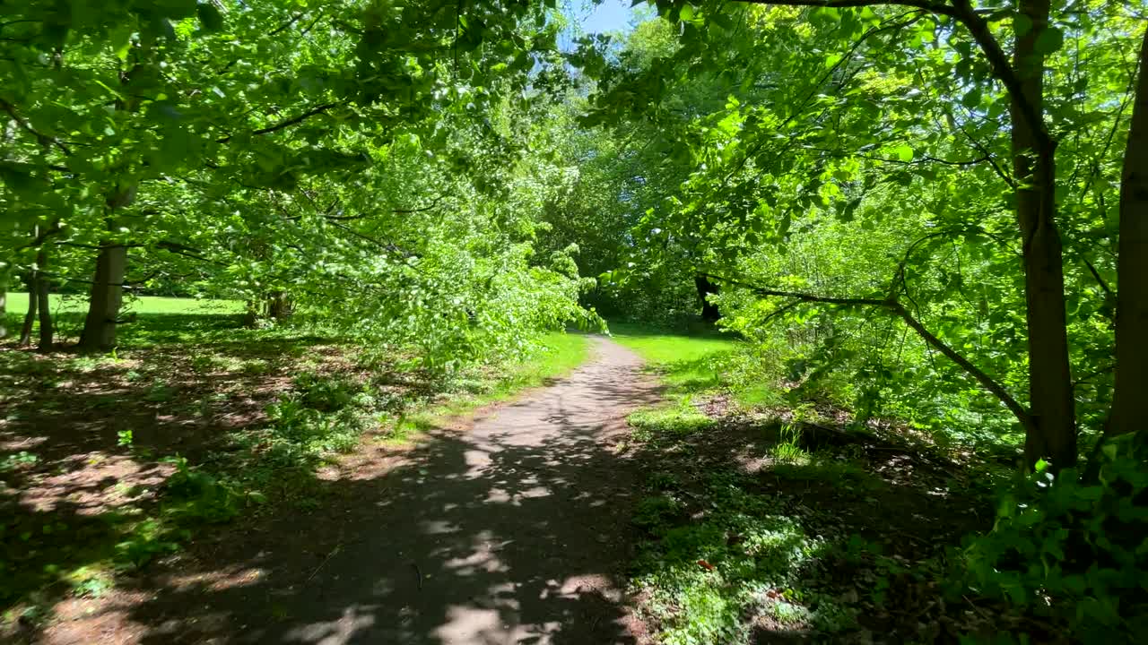 녹색 공원의 길에서