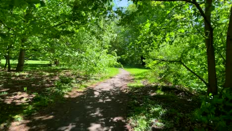 on the path in a green park