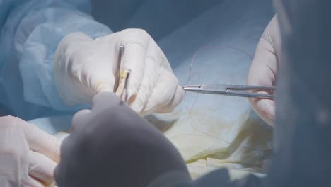 surgical procedure