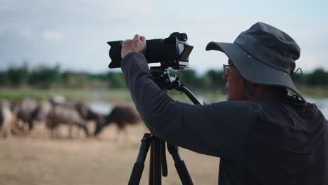 photographer taking picture of water buffalo