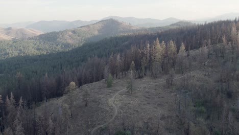 Antena-De-Ruta-De-Senderismo-Con-Humo-De-Incendios-Forestales-En-El-Valle