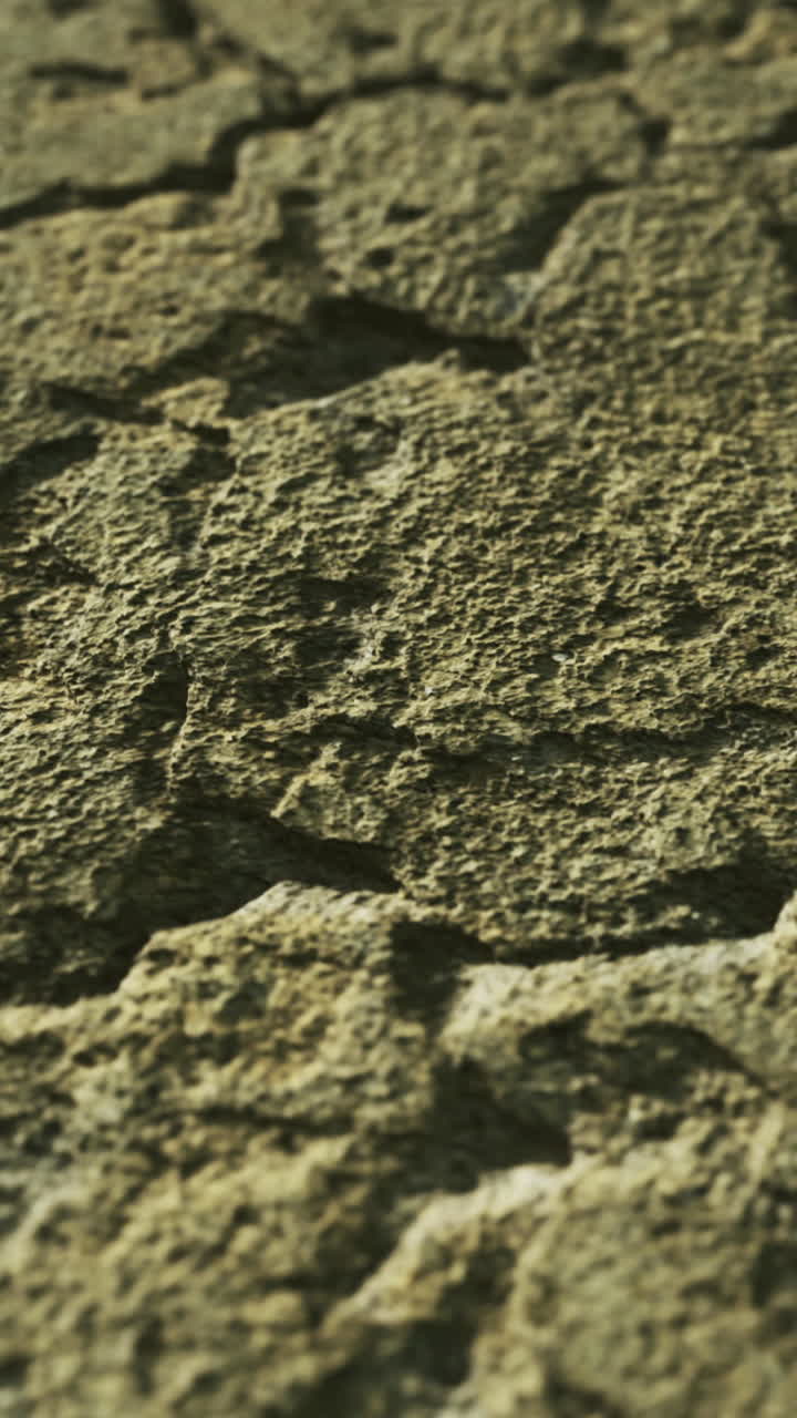 Texture of weathered stone surface showing intricate patterns in detail