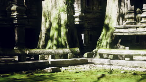 ancient temple ruins in the jungle