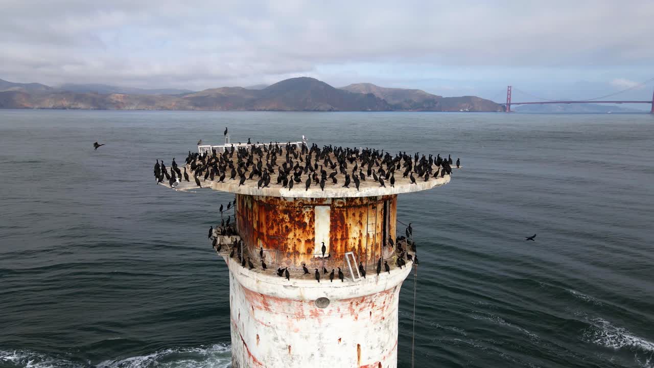vista aérea de drones de un faro coronado por un pájaro, en el soleado san francisco, estados unidos