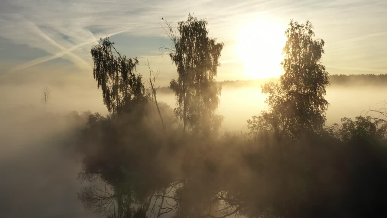 Fog over a field and a lake at sunrise with trees on the shore