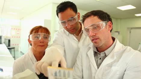 team of focused scientists at work in the lab