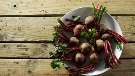 close-up of kohlrabi in bowl 4k