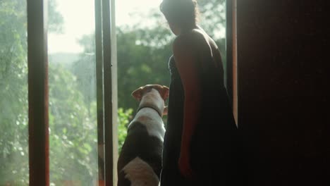 Eine-Person-Und-Ein-Hund-Schauen-Morgens-Aus-Einem-Sonnenbeschienenen-Fenster