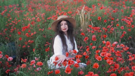 woman in a red poppy field