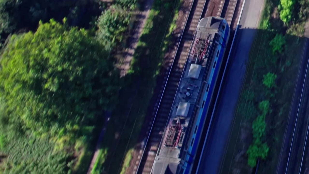 Piante verdi crescono lungo i binari del treno in una zona tranquilla vicino alla città.