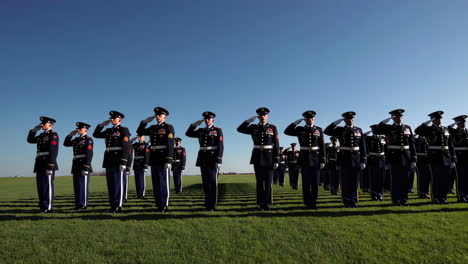 soldiers in uniform saluting in formation