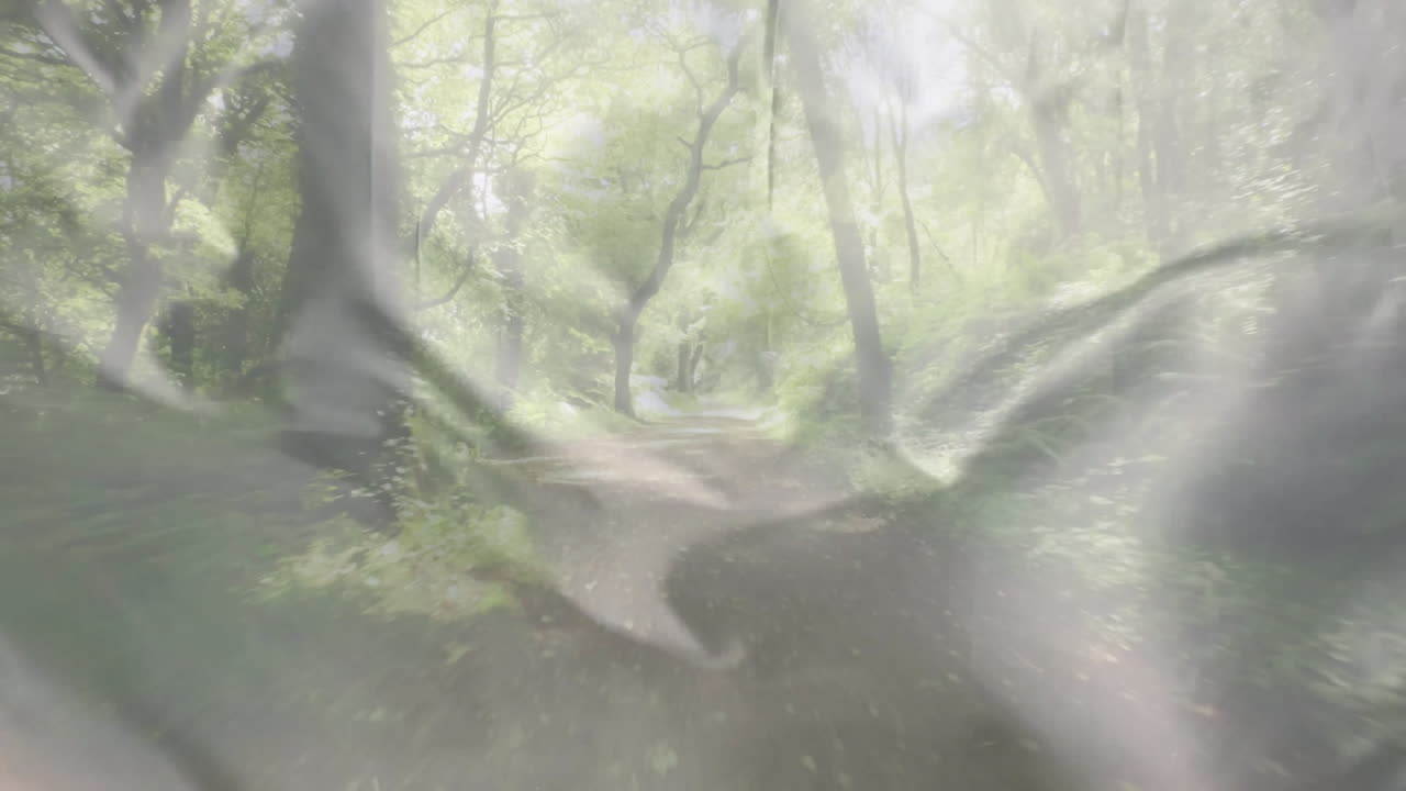 Sunlight filtering through lush green trees on misty forest path, creating animation