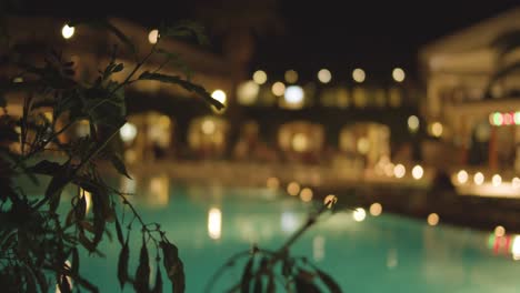 blurry hotel - resort pool area - close up plant - evening - slow motion