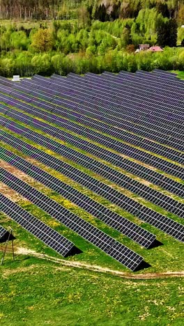 drone view above a big solar panel park installed on bright green grassland under sunlight - vertical clip
