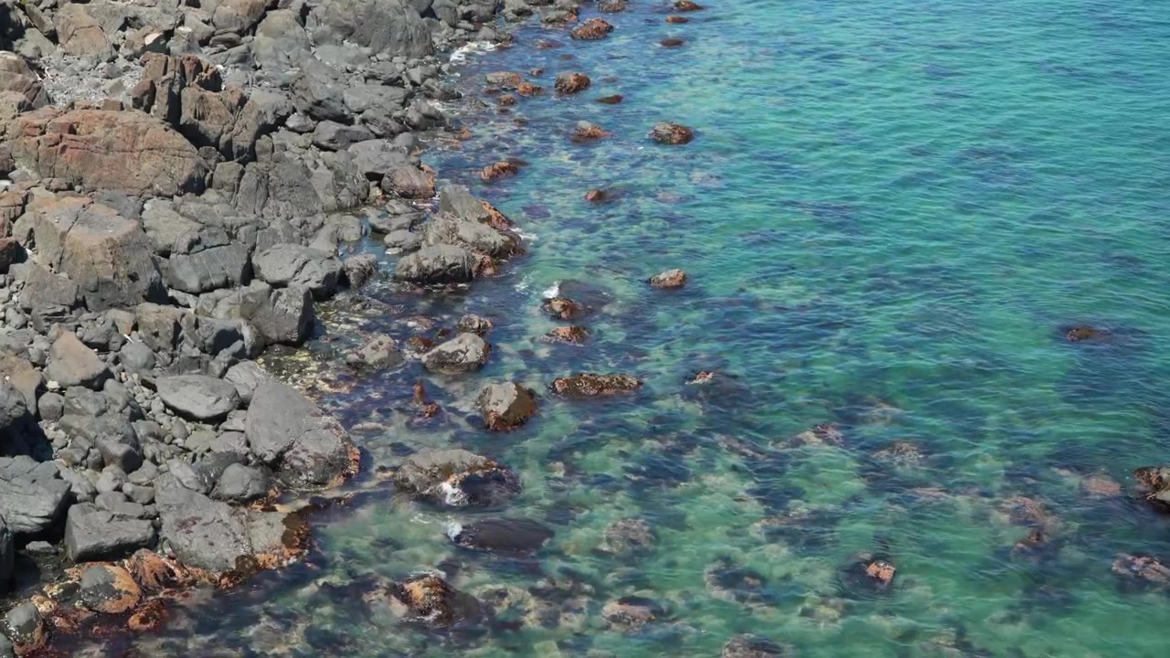 Busan Güney Kore'deki Haeundae Mavi Hat Parkı kıyısı boyunca, deniz yosunu kaplı su altı kayalarıyla kristal berraklığında turkuaz denizle buluşan koyu volkanik kayalar.