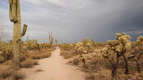 nubes oscuras dando vueltas sobre los senderos mientras un caminante de blanco camina por ahí