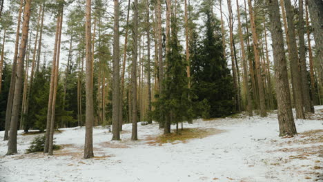 ogre of latvia in the month of february