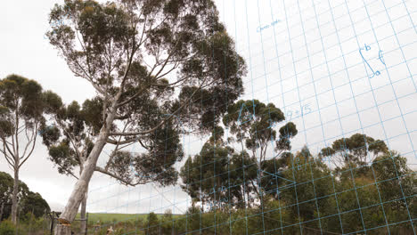 Animation of mathematical equations over trees