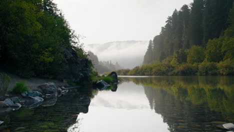 calming waters flowing through forest river on misty morning