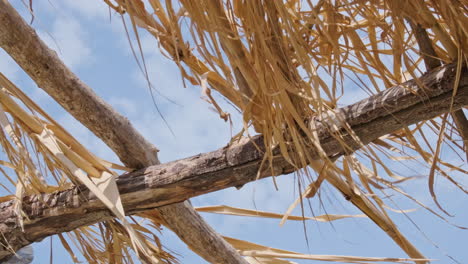 Dry-Palm-Leaves-Of-A-Thatched-Hut-Roof-Sway-As-The-Wind-Blows-Against-Sunny-Clear-Sky-On-Summer