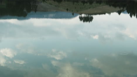 superficie fondo de agua en el bosque río o lago. fondo relajante tranquilo. río cerca de abundante arroyo claro. reflejos de luz en agua limpia. olas increíbles en la superficie ondulada río. agua ace