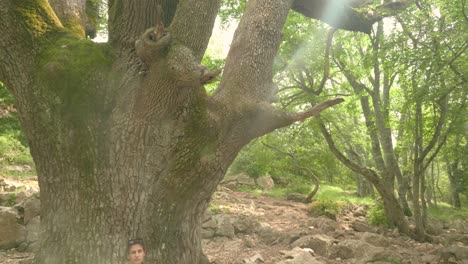 una hermosa mujer excursionista sentada pacíficamente debajo de un gran árbol viejo con la luz del sol brillando a través de las hojas verdes en un bosque en francia