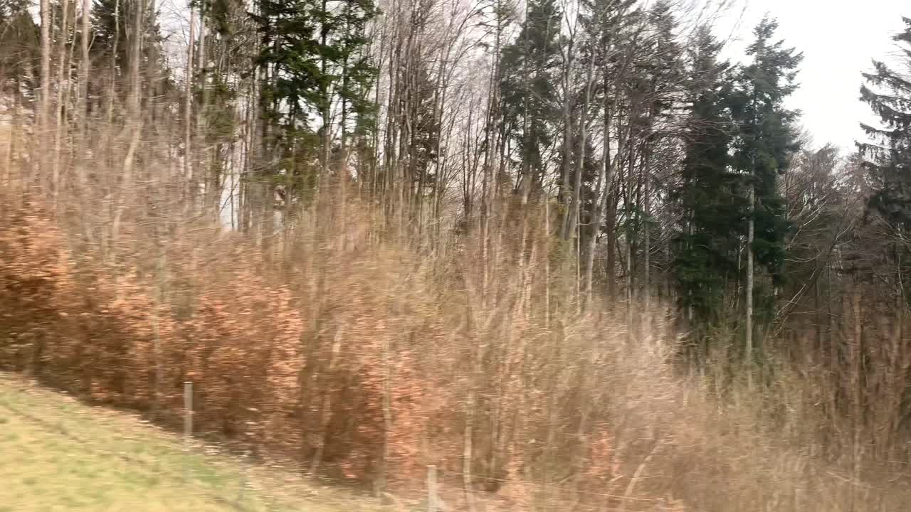 스위스 프리부르 주의 그뤼에르 호수를 바라보는 풍경