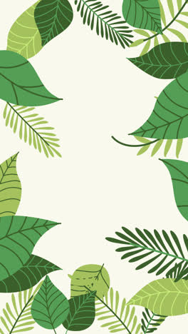 Motion-Graphic-of-Tropical-leaves-background