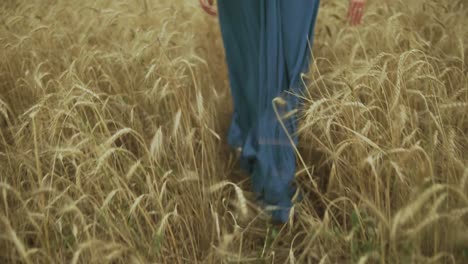 Back-view-of-unrecognizable-woman's-legs-in-long-blue-dress-walking-through-golden-wheat-field.-Freedom-concept.-Slow-Motion-shot