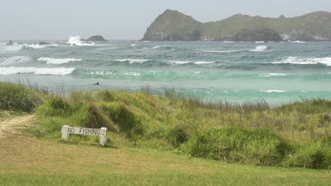 looking out over unrecognisable surfers on ned’s beach during windy misty day