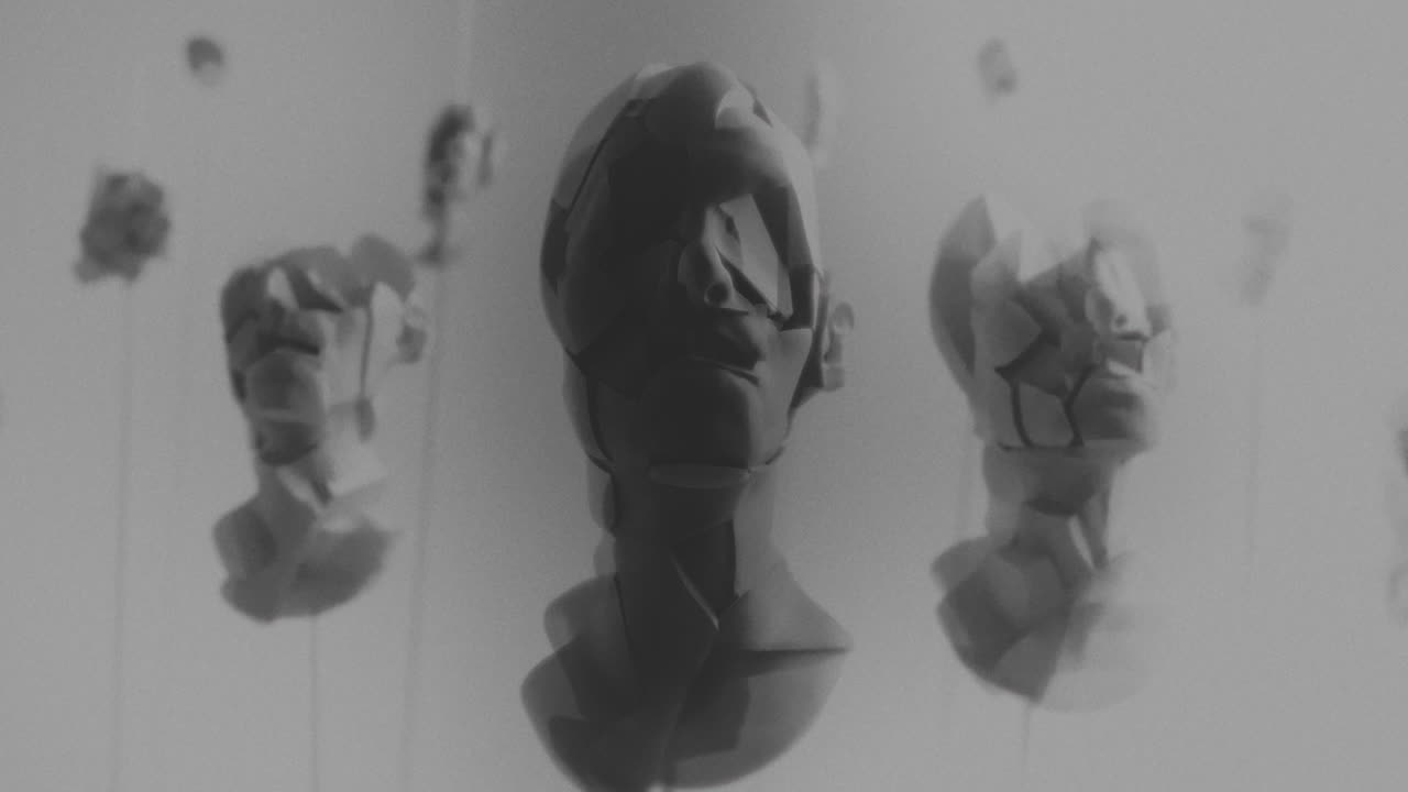Broken mannequin head shells in xray