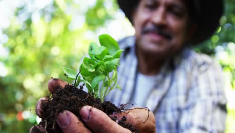 senior man holding a plant