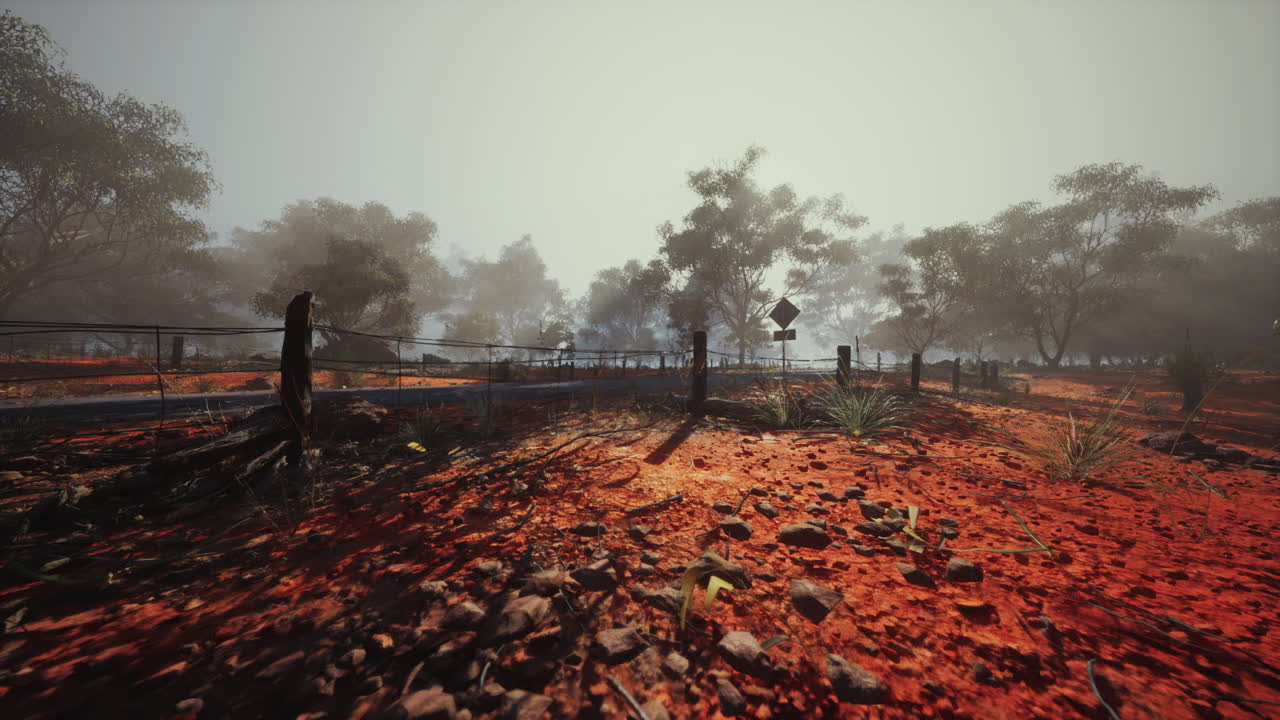 안개가 가득한 외 도로