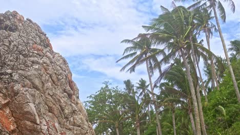 Banbanon-Strandbäume-Und-Riesiger-Felsbrocken-Im-Rahmen-Vor-Dem-Paradiesischen-Himmel-Auf-Den-Philippinen