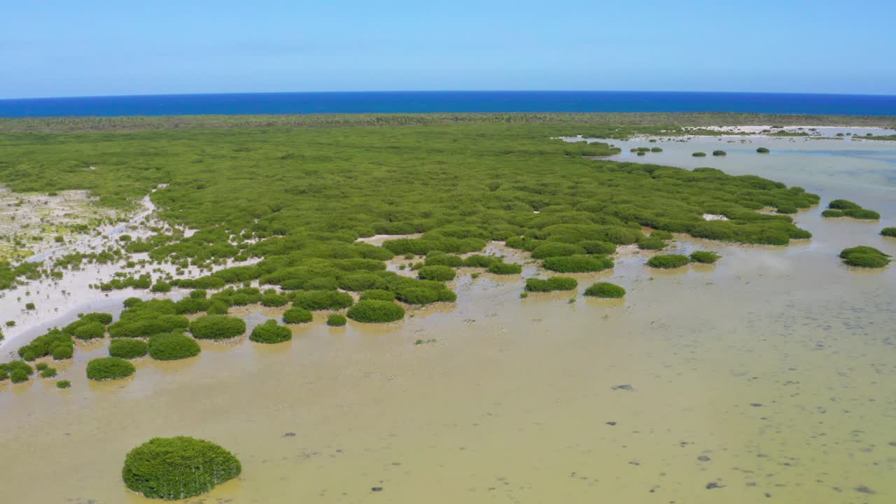 jaragua 국립 공원, pedernales, 도미니카 공화국의 비행 오비에도 석호