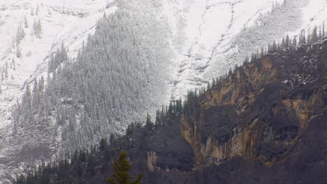 Mountain-side-with-light-snow-and-pine-tree-forest