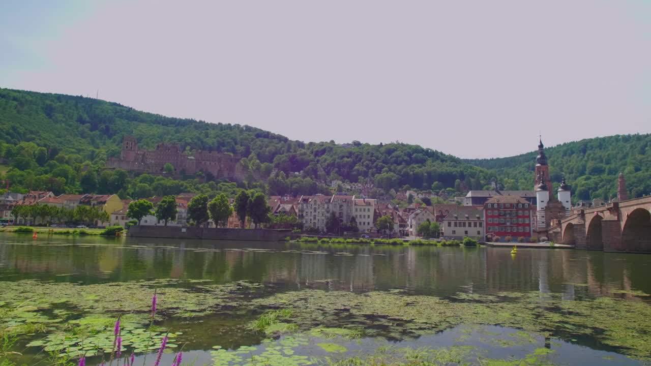 Heidelberg view of Karl-Theodor-Br&uuml;cke bridge with castle palace chateau with Heiliggeistkirche, river neckar, Br&uuml;ckentor, Bridge gate on a sunny day