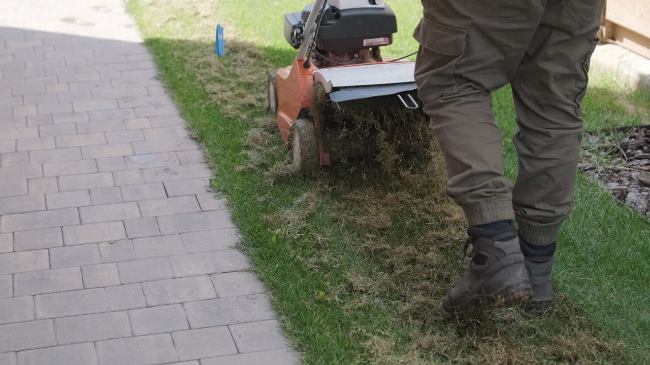 Man Scarifying Lawn with a Verticutter Machine for Grass Maintenance
