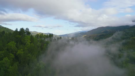 a cinematic shot of a hill with fogs