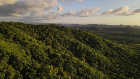 Vuelo-Rápido-Hacia-Atrás-Sobre-La-Magnífica-Selva-De-América-Central