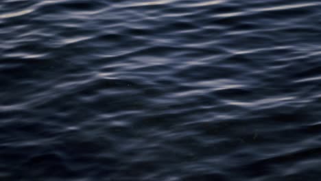 Close-Up-View-of-Rippling-Water-Surface-with-Gentle-Waves