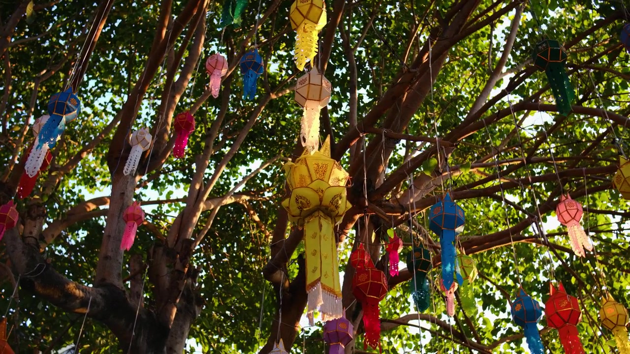 Decorazioni Tradizionali con Lanterne Yi Peng Appese agli Alberi nel Nord della Thailandia, Esposizione Culturale Festiva Tra il Fogliame. Ripresa dal Basso