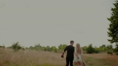 Joyful-Couple-Walking-And-Smiling-Outdoors-In-Summer-2