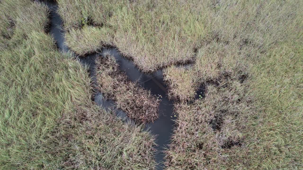 Aerial showing all the branches of small creeks running through thick dense grasses in a Florida marsh