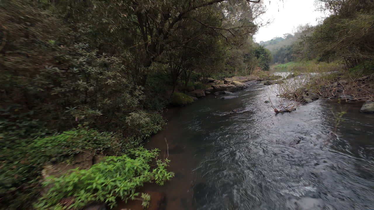 Aerial footage of a river flowing through a dense jungle, showcasing the natural beauty and tranquility of the rainforest environment, fpv drone shot
