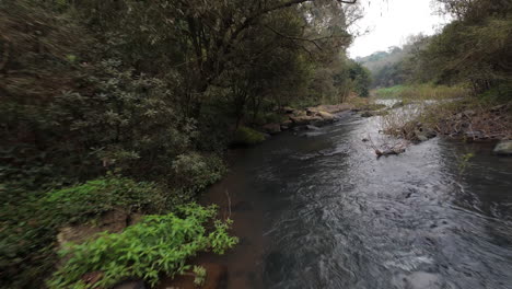 aerial footage of a river flowing through a dense jungle, showcasing the natural beauty and tranquility of the rainforest environment, fpv drone shot