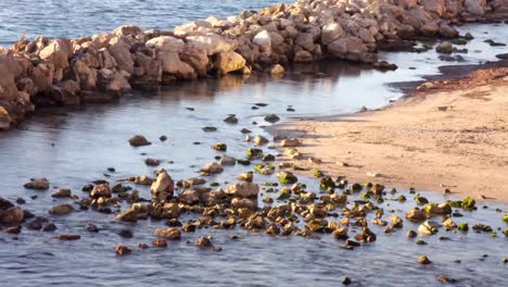 corniche olas 01