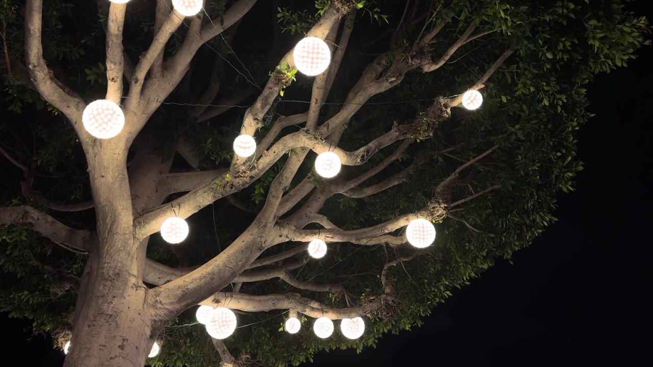 Decorazioni luminose a LED sferiche appese a un grande albero che illuminano contro il cielo notturno. INQUADRATURA STATICA.