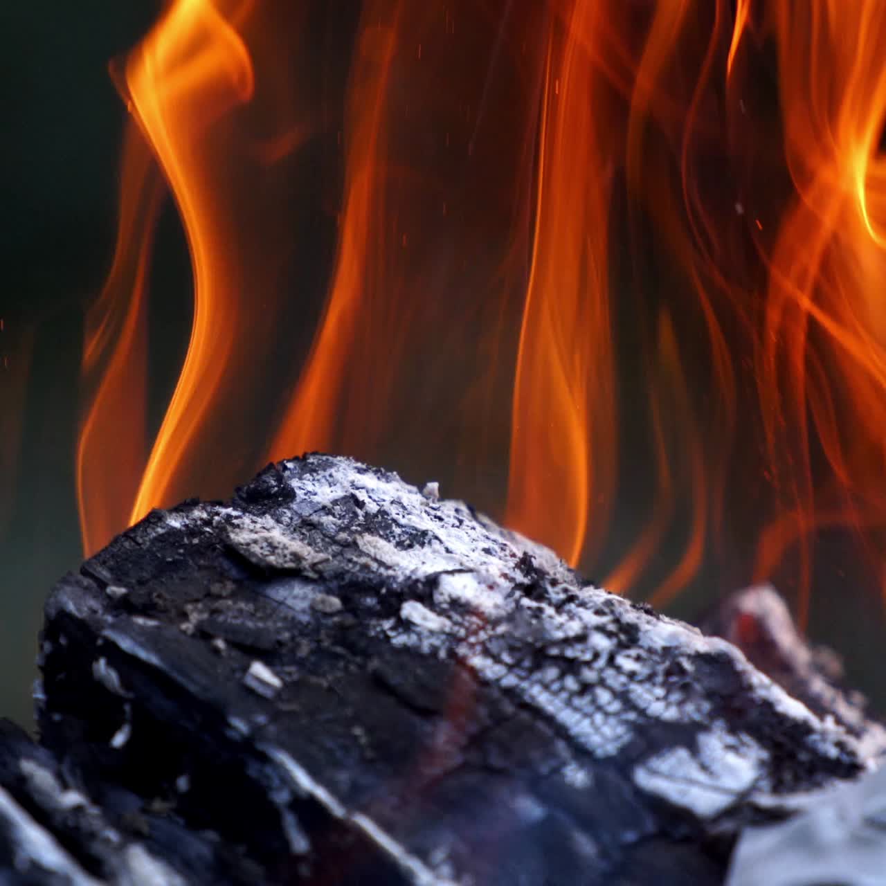 Firewood in flame close up