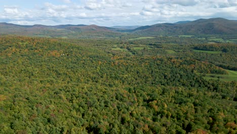 Escena-Del-Paisaje-De-La-Naturaleza-Del-Bosque-Siempre-Verde-En-El-Desierto-De-Nueva-Inglaterra---Vista-Panorámica-Del-Establecimiento-Aéreo